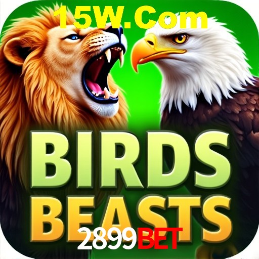 Crash Games Strategies 2899Bet